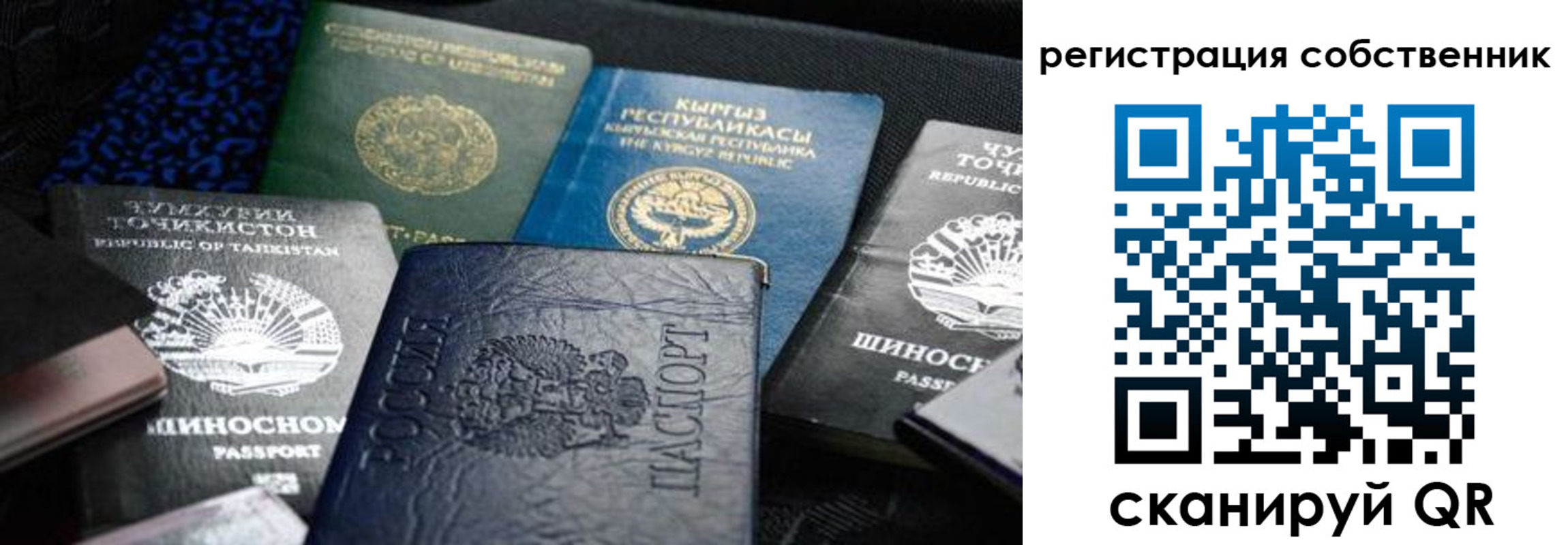 временная регистрация для школы в Бийске